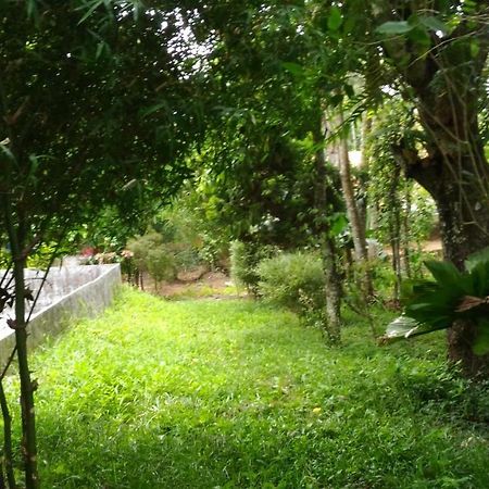 Philip Mary Farm Stay Thekkady Zewnętrze zdjęcie