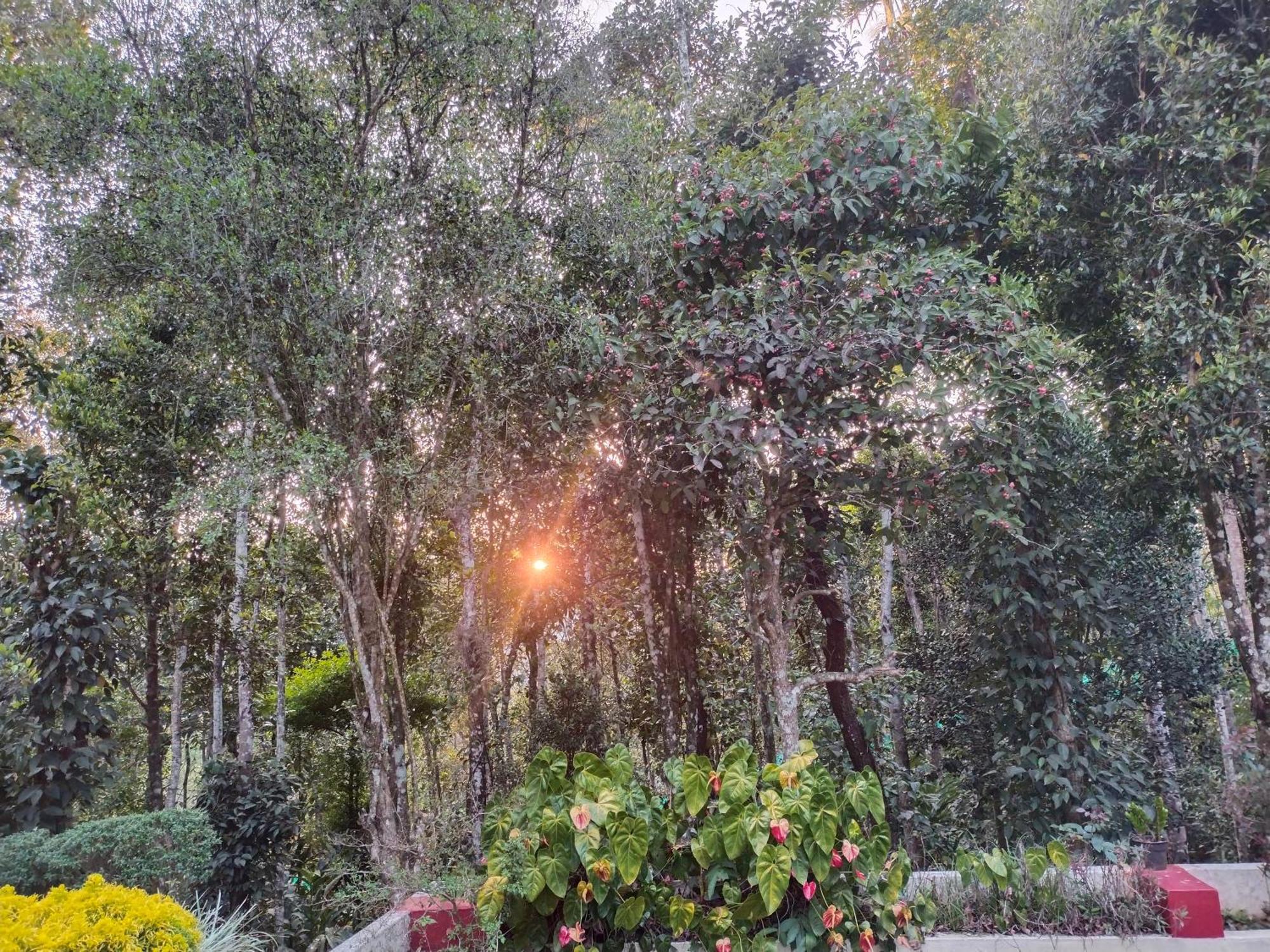 Philip Mary Farm Stay Thekkady Zewnętrze zdjęcie