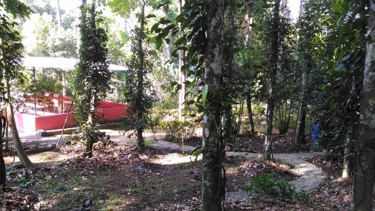 Philip Mary Farm Stay Thekkady Zewnętrze zdjęcie