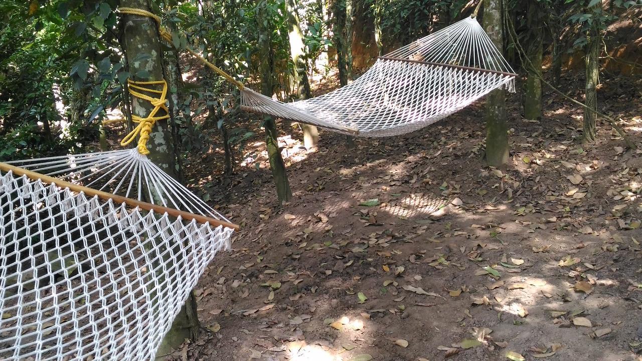 Philip Mary Farm Stay Thekkady Zewnętrze zdjęcie