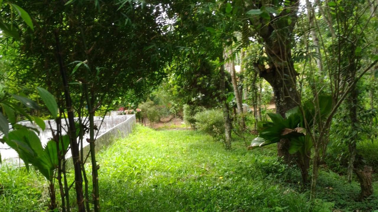Philip Mary Farm Stay Thekkady Zewnętrze zdjęcie