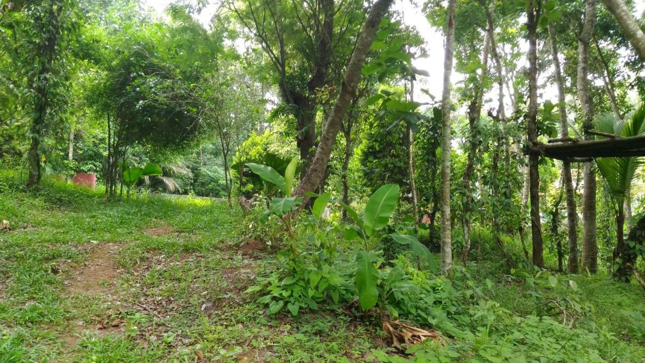 Philip Mary Farm Stay Thekkady Zewnętrze zdjęcie