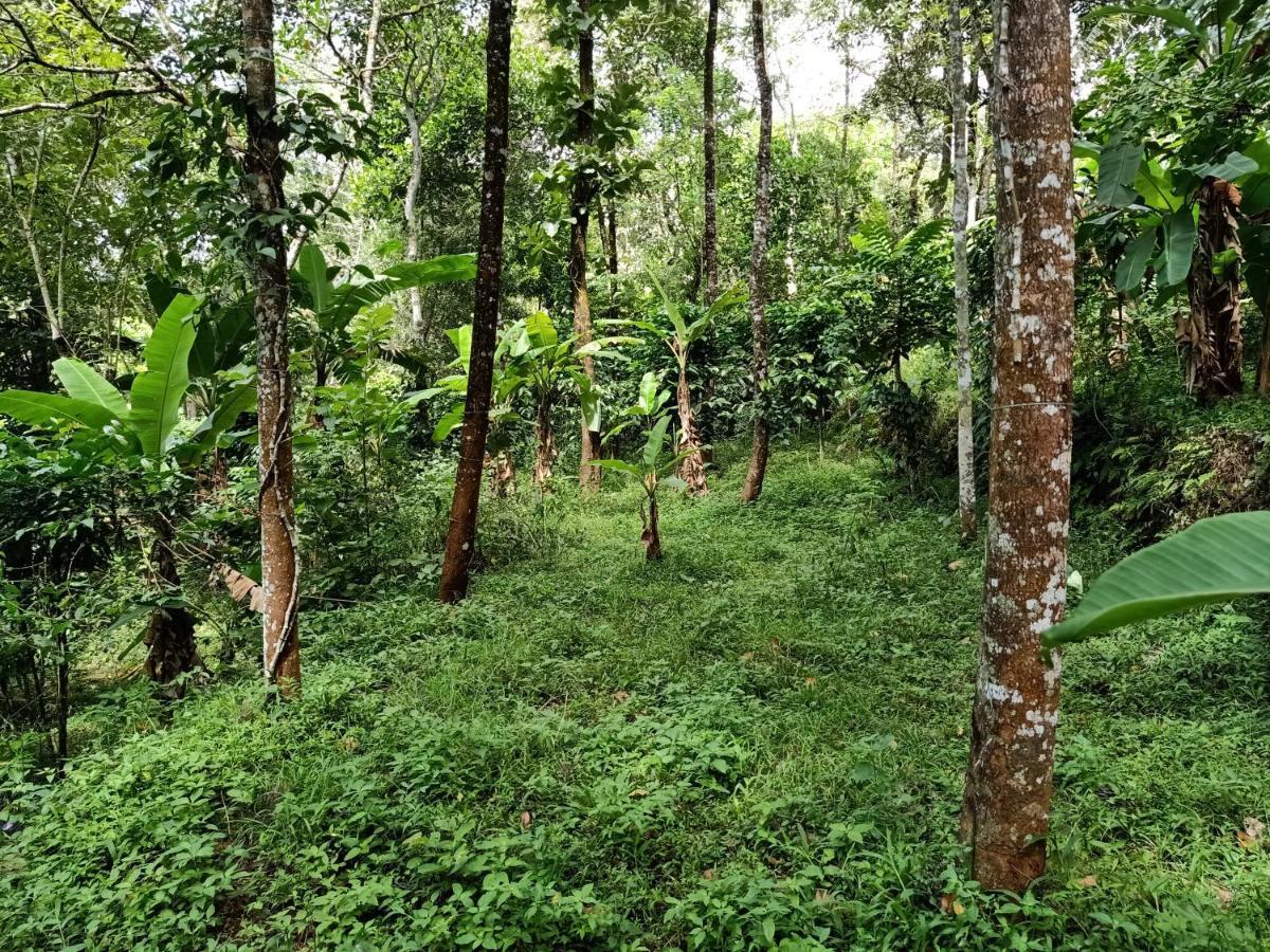Philip Mary Farm Stay Thekkady Zewnętrze zdjęcie